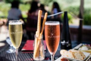 2026年世界杯在哪个城市举行