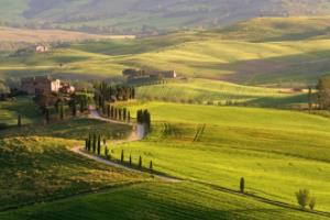 2024年欧洲杯时间，赛事全面解读2024年欧洲杯时间